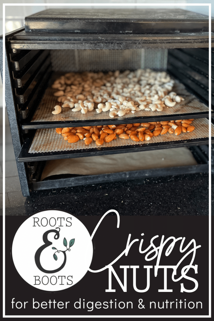 How to Make Crispy Nuts | Roots & Boots