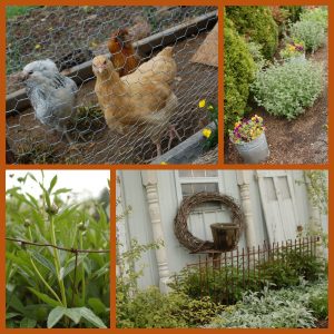 Signs of Spring Collage