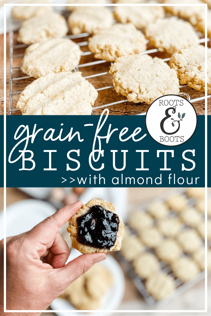 Almond Flour Biscuits (gluten and dairy free) - Roots & Boots