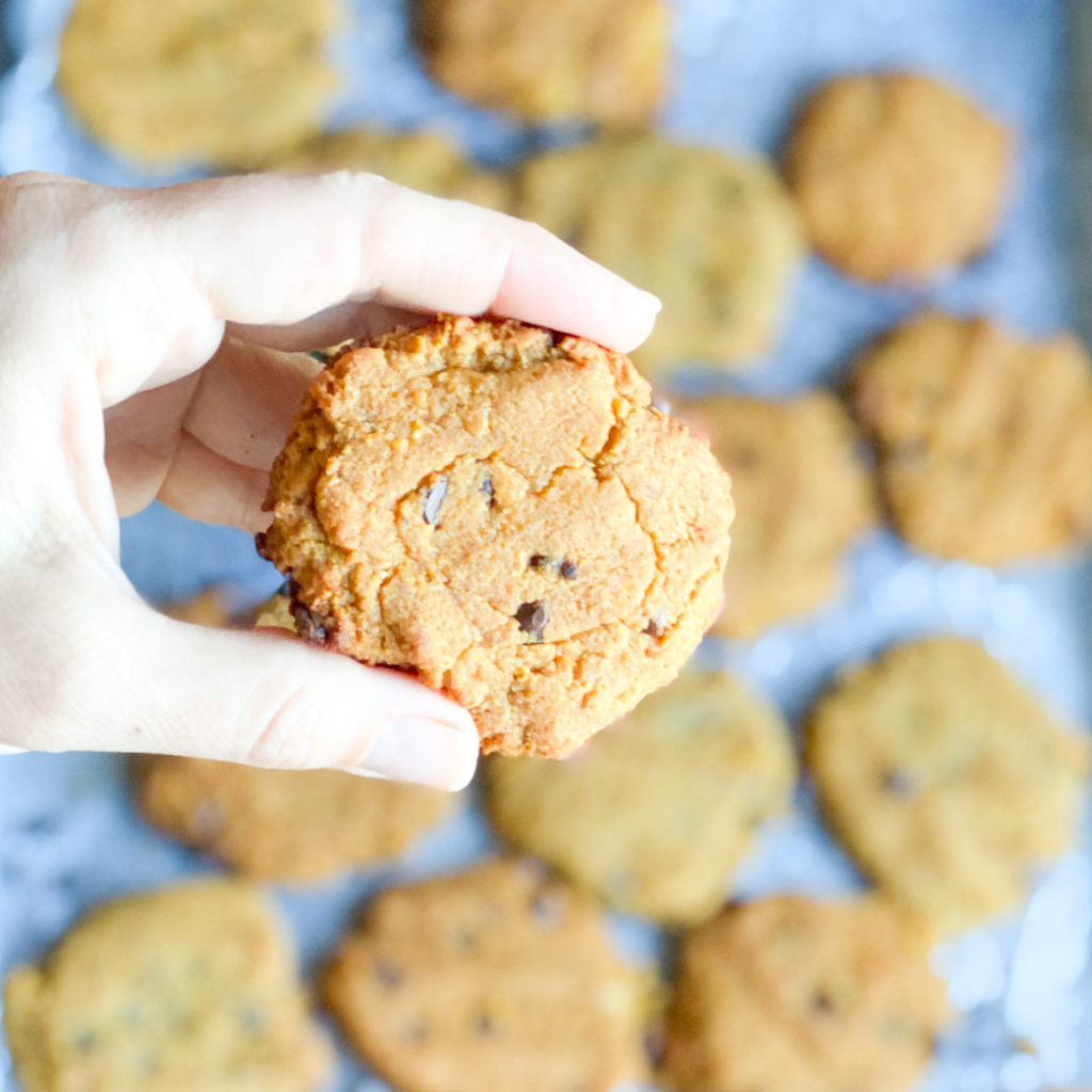 Pumpkin Chocolate Cookies | Roots & Boots