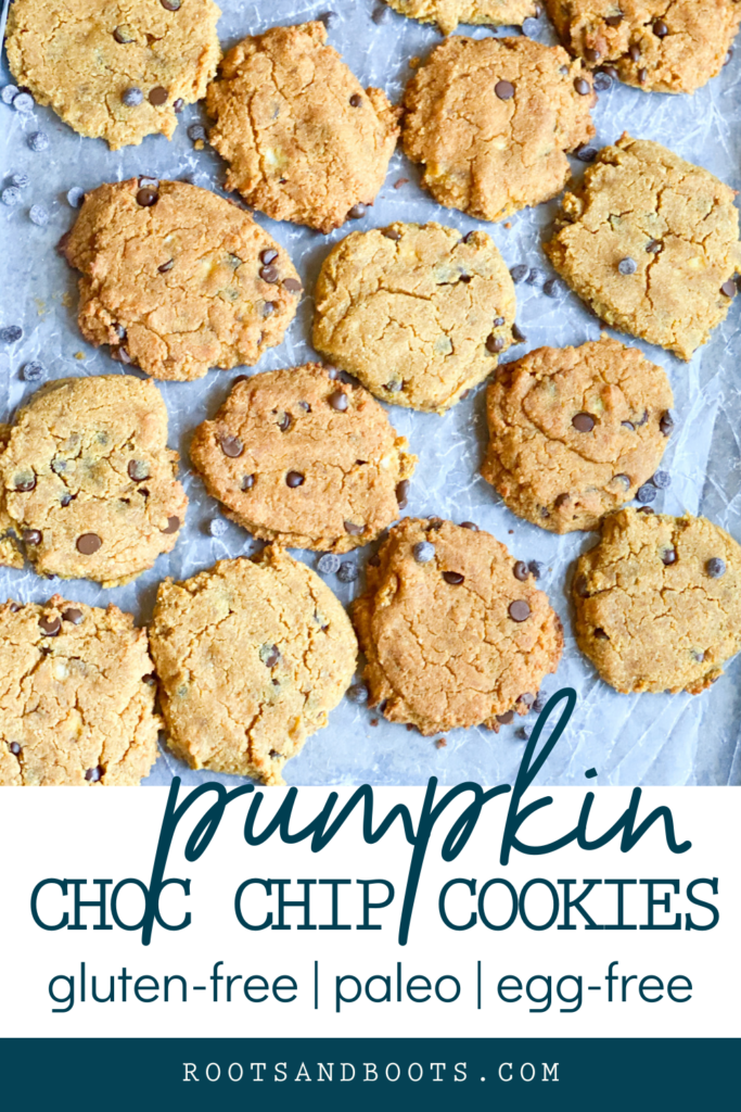 Pumpkin Chocolate Cookies | Roots & Boots