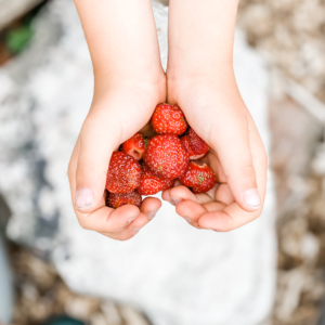 Strawberry Recipes | Roots & Boots