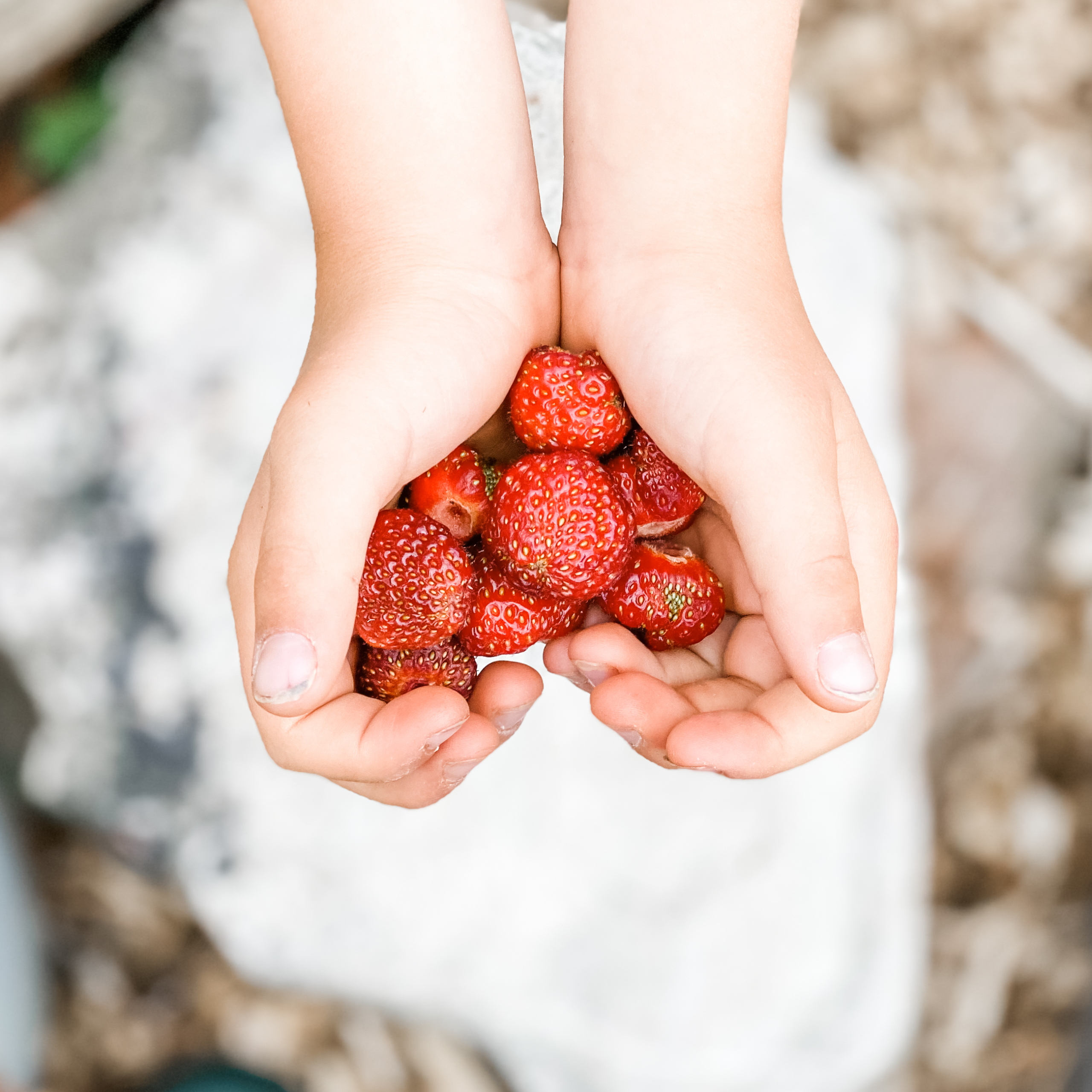 Strawberry Recipes | Roots & Boots