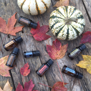 16 Cozy Fall Diffuser Blends | Roots & Boots