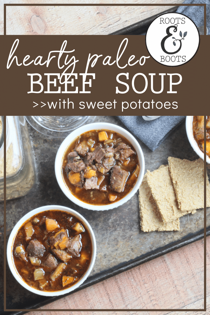 Paleo Beef And Veggie Soup | Roots & Boots