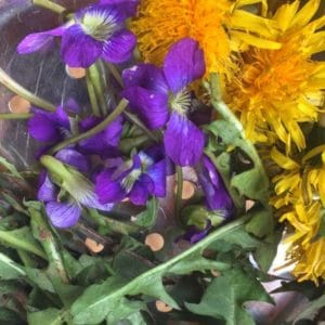 Foraged Salad Greens From Your Own Backyard | Roots & Boots