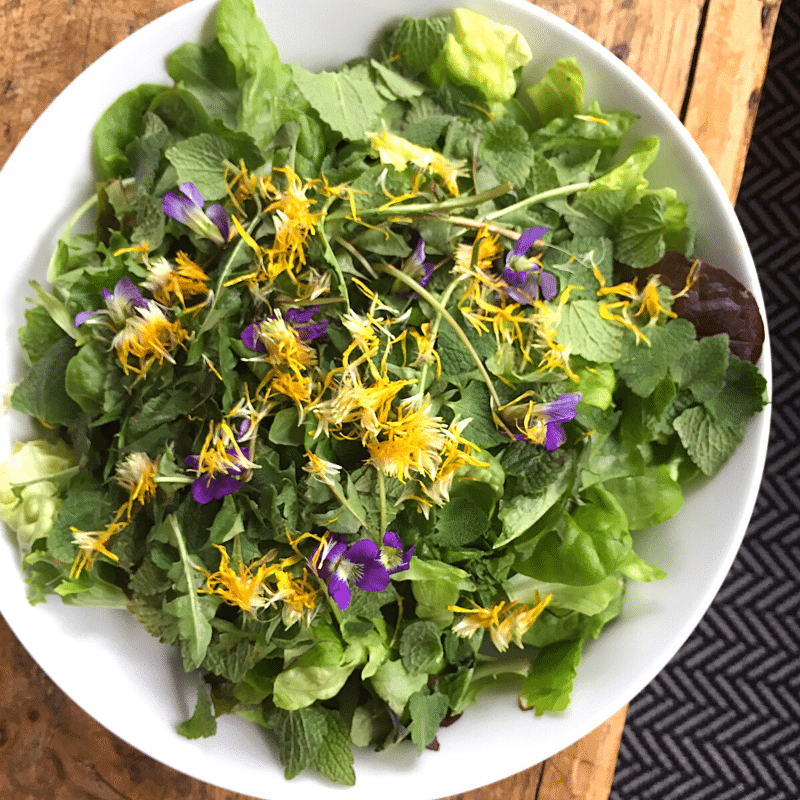 Foraged Salad Greens From Your Own Backyard | Roots & Boots