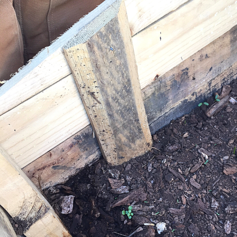How to Build a Cold Frame Out of Pallets Roots & Boots