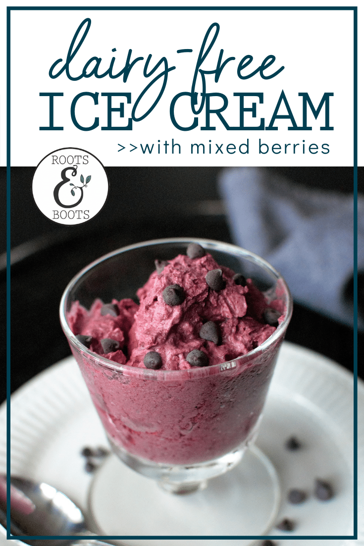 Mixed Berry Coconut Milk Ice Cream | Roots & Boots