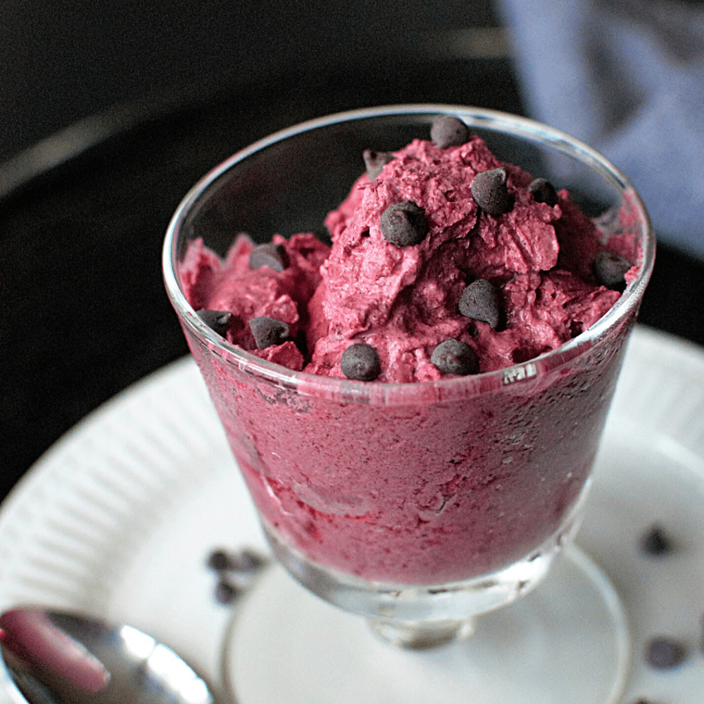 Mixed Berry Coconut Milk Ice Cream | Roots & Boots