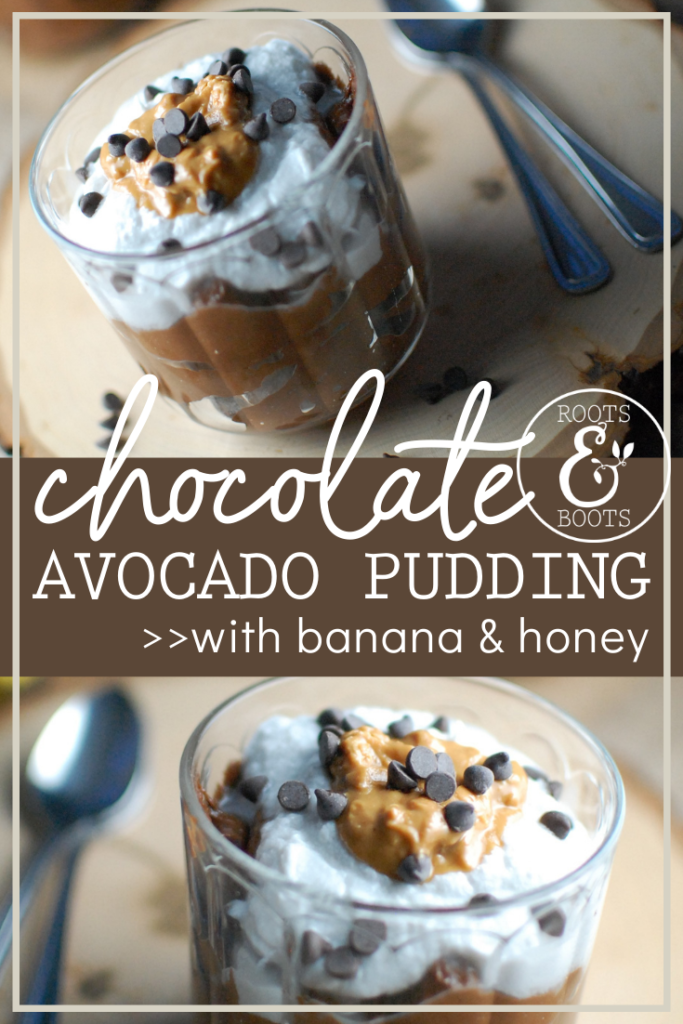 Chocolate Avocado Pudding | Roots & Boots