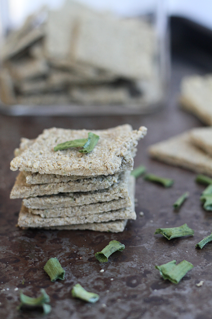 Onion Nut Dehydrator Crackers