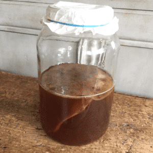 How To Make Kombucha | Roots & Boots