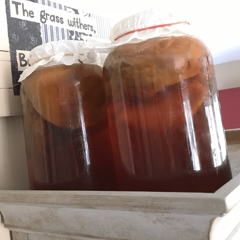 How To Make Kombucha | Roots & Boots