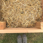 How to Build Hugelkultur Raised Garden Beds - Roots & Boots