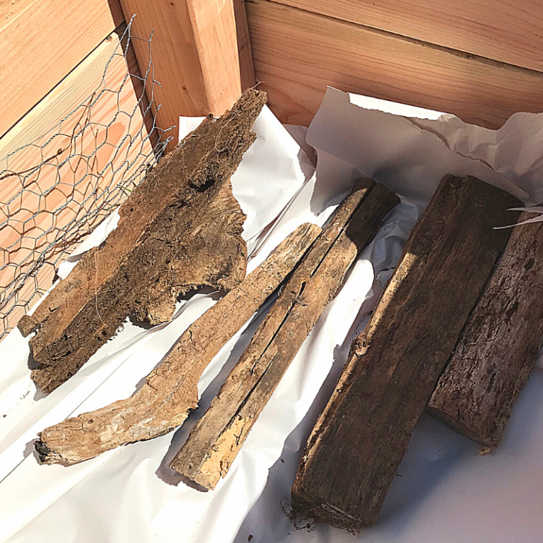 How to Build Hugelkultur Raised Garden Beds - Roots & Boots