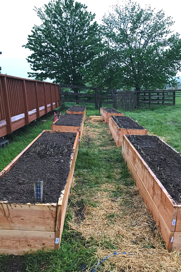 How to Build Hugelkultur Raised Garden Beds Roots & Boots