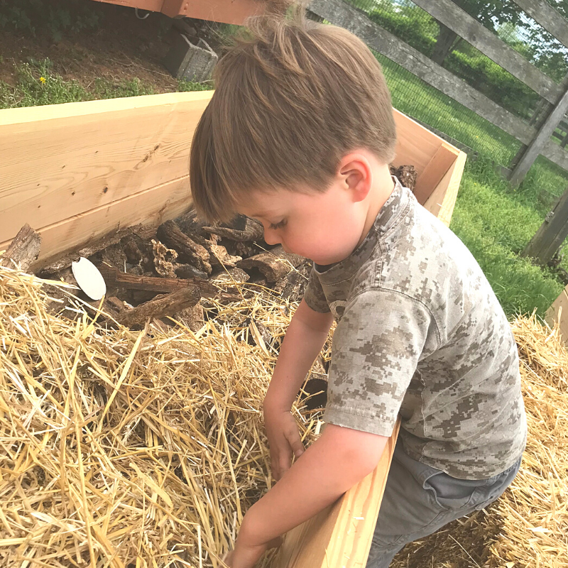 Hugelkultur Raised Garden Beds | Roots & Boots