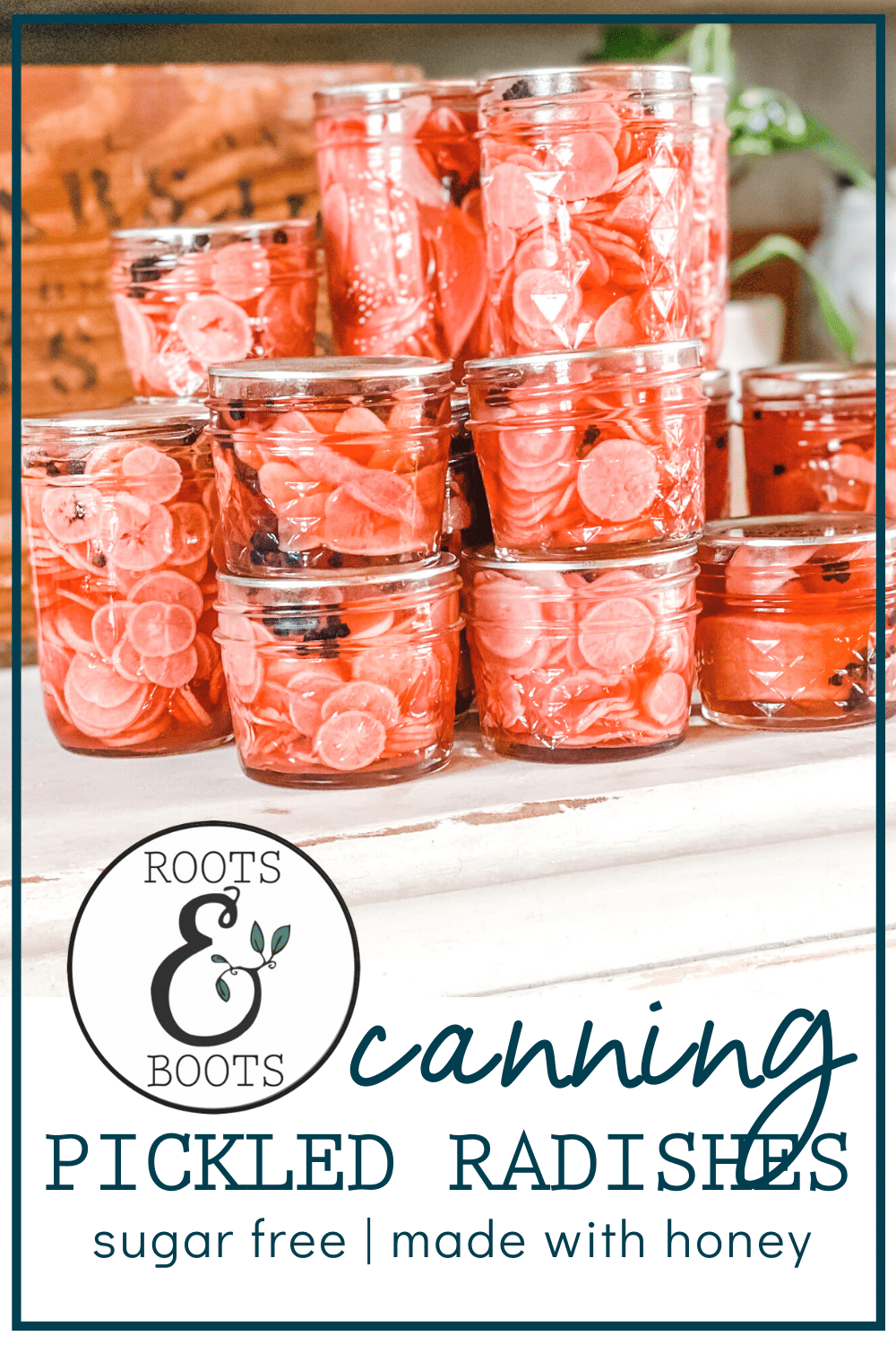 Canning Honey Pickled Radishes | Roots And Boots