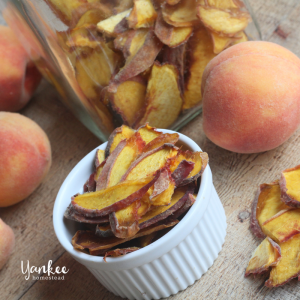 How to Make Dehydrated Peach Chips | Yankee Homestead