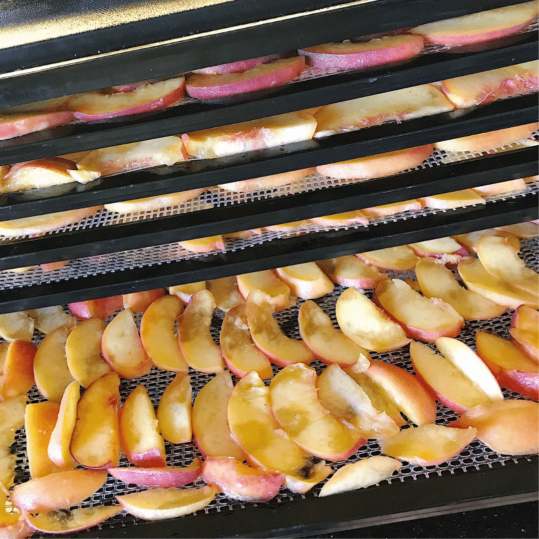 Make Your Own Dehydrated Peach Chips | Roots & Boots 