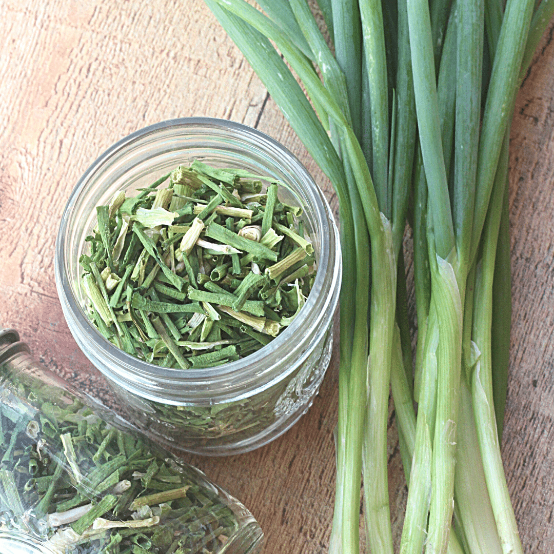 How To Dry Green Onions | Roots & Boots