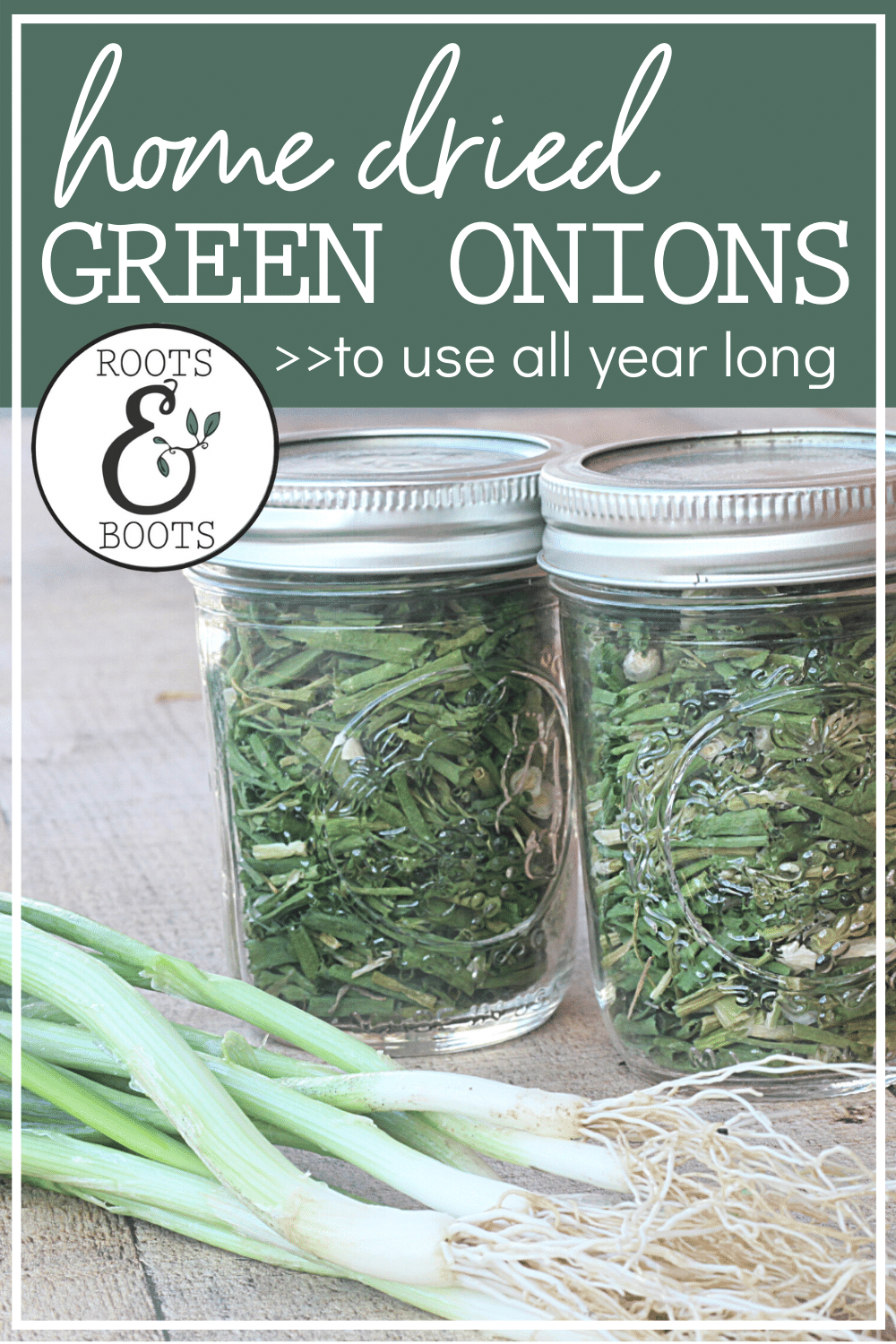 How to Dry Green Onions - Alphafoodie