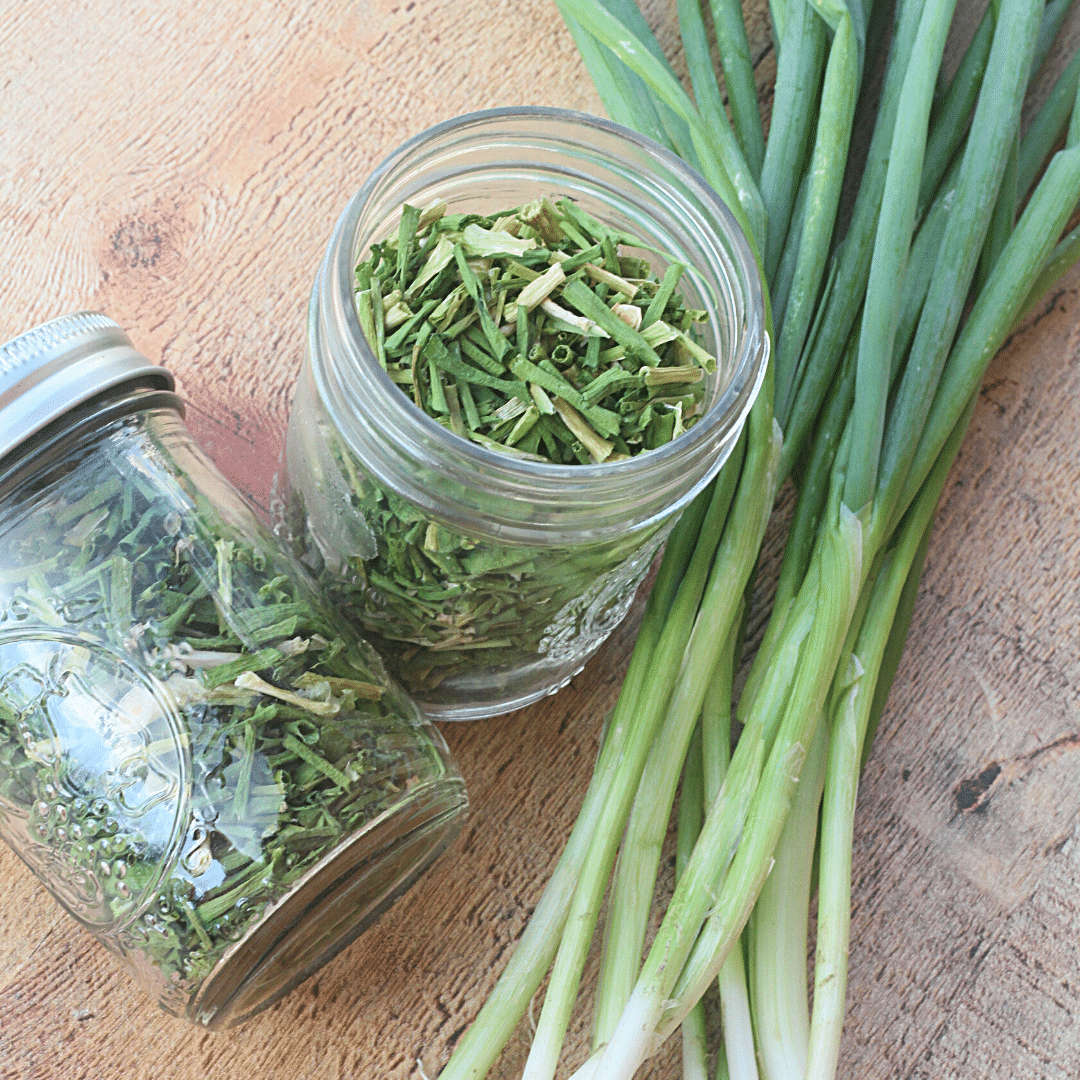 How to Dry Green Onions - Alphafoodie