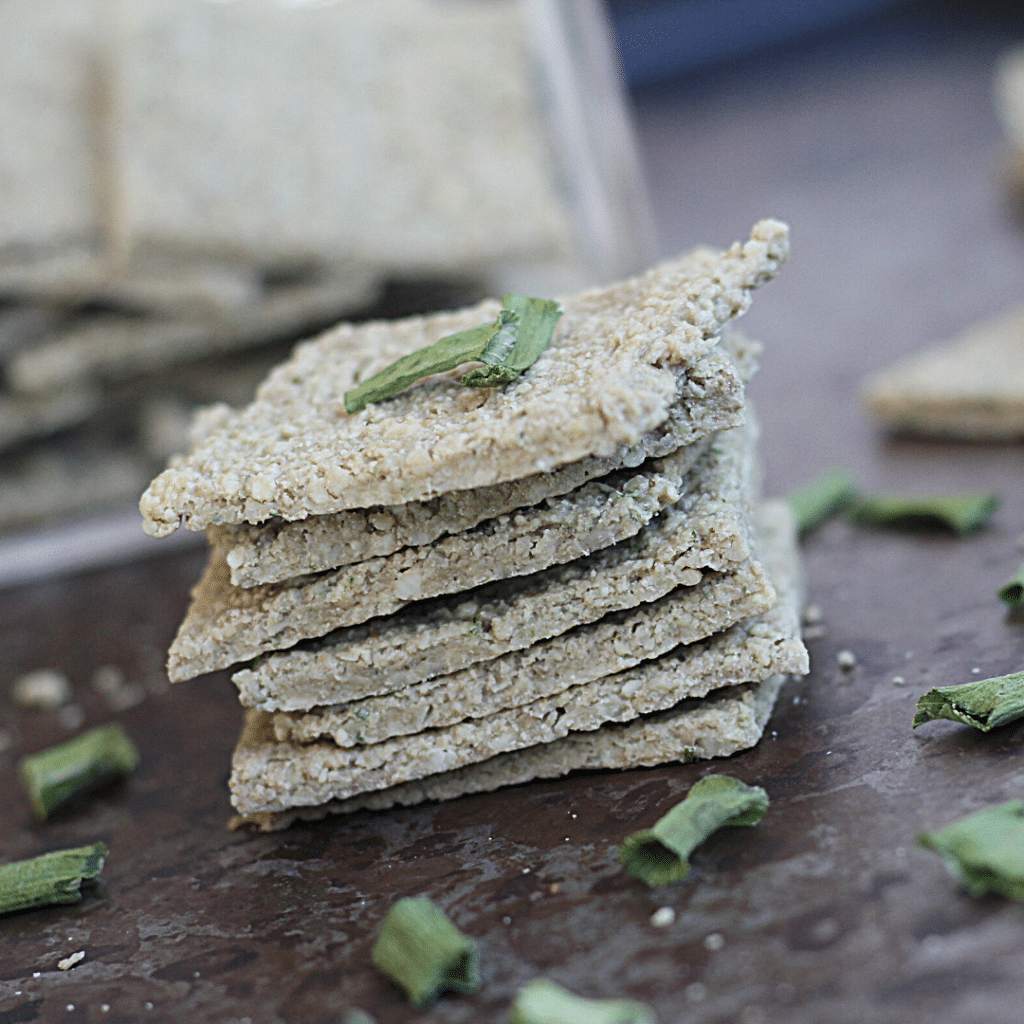 Onion Nut Dehydrator Crackers | Roots & Boots