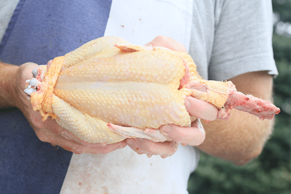 The Real Cost of Raising Meat Birds | Roots & Boots