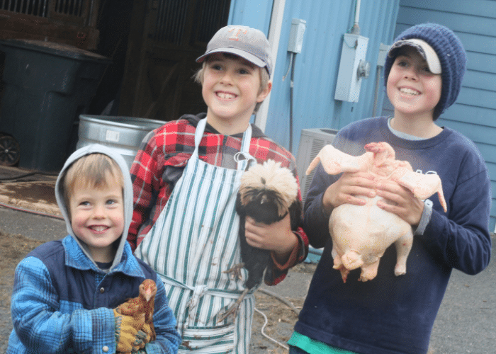 The Real Cost of Raising Meat Birds: Year Two| Roots & Boots