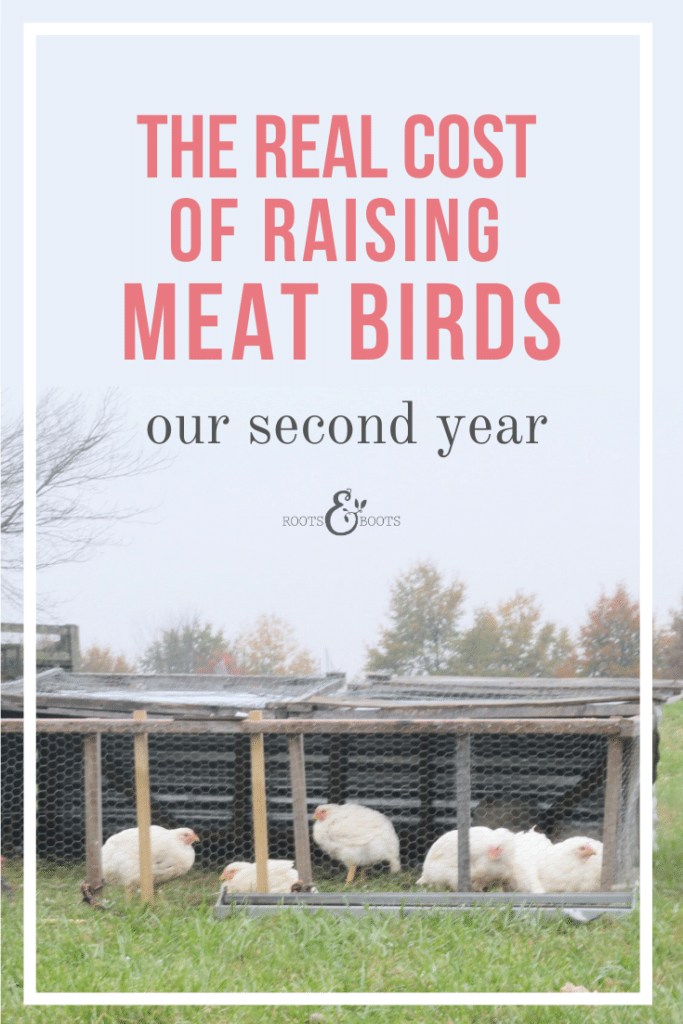 The Real Cost of Raising Meat Birds: Year Two| Roots & Boots