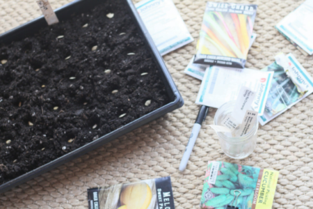 How to Start Seeds Indoors: A Simple Method