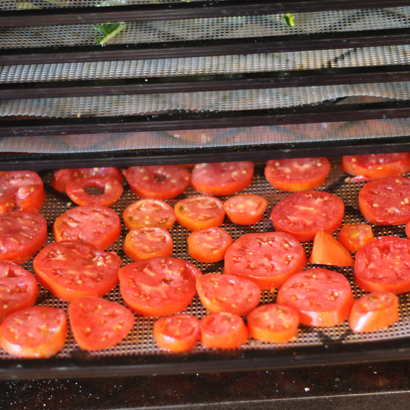 Tomato Powder: How to Make it & Use it | Roots & Boots