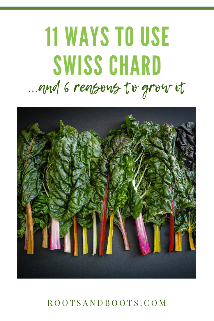 11 Ways to Use Swiss Chard | Roots & Boots