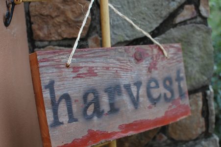 Harvest sign