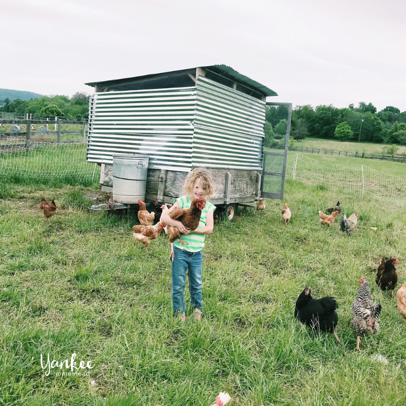 How to Teach Kids Where Food Comes From | Yankee Homestead