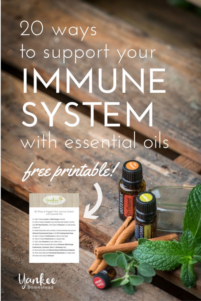 Essential Oils for Winter Wellness Essential Oil Academy Digital Onl -  AromaTools®