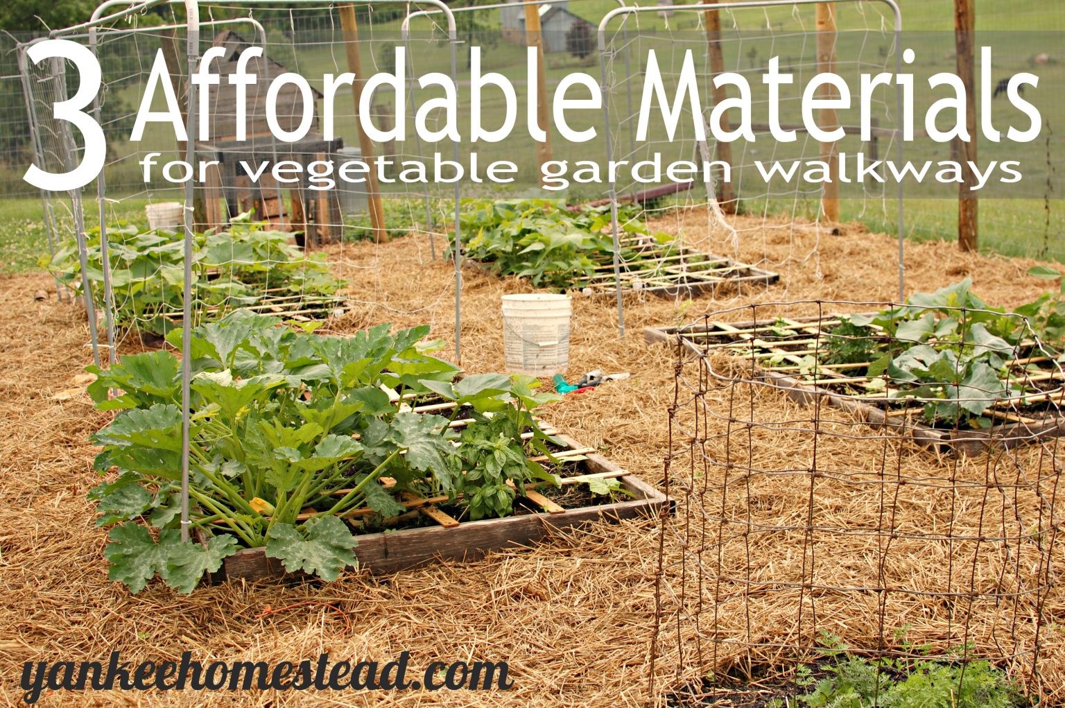 3 Affordable Materials for Vegetable Garden Walkways - Roots & Boots