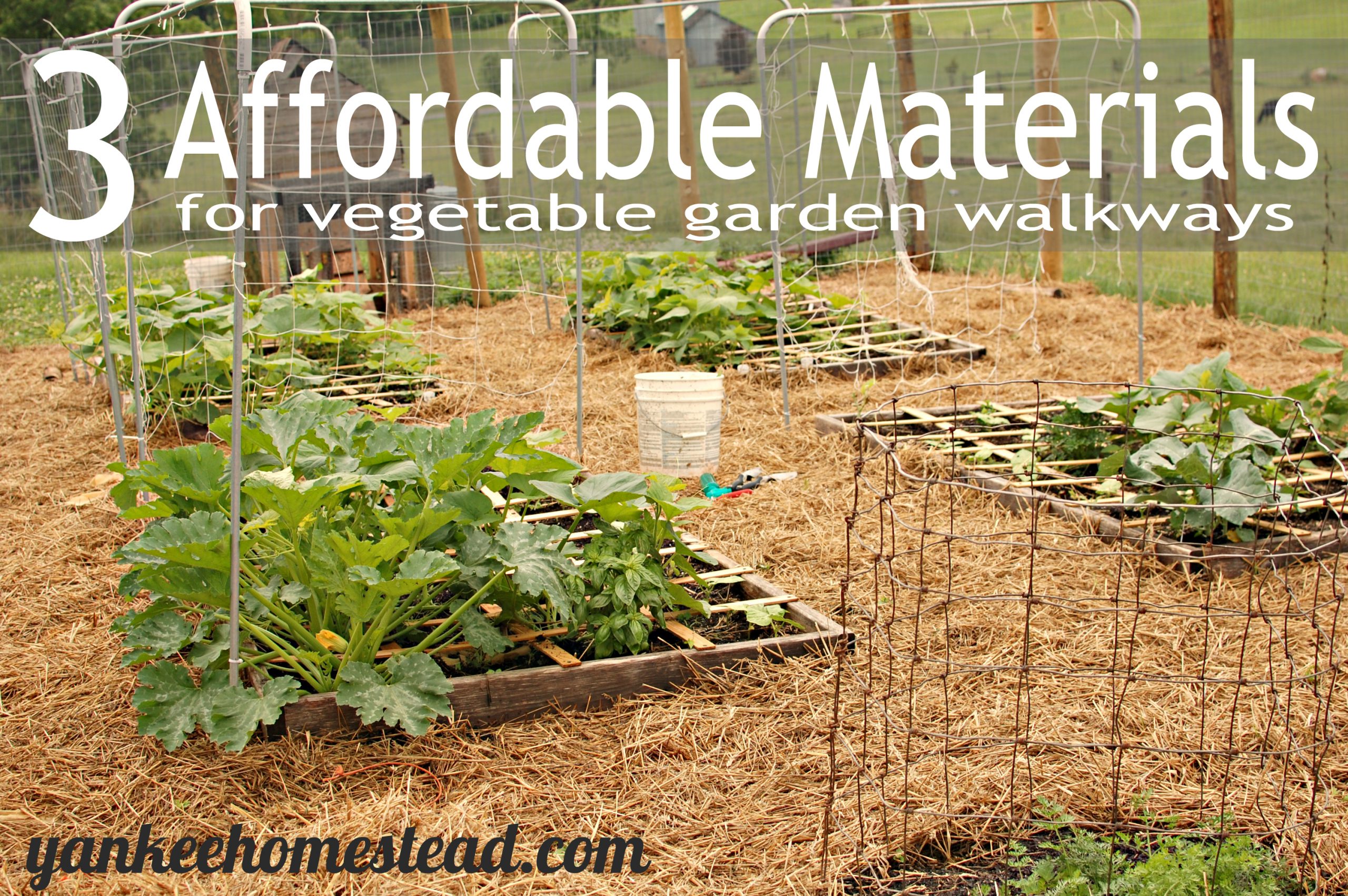 3 Affordable Materials for Vegetable Garden Walkways