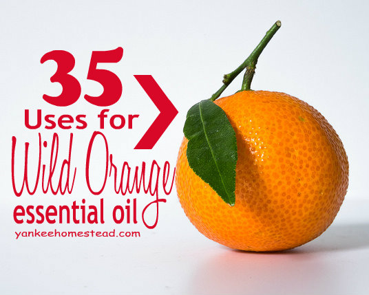 6 Surprising Ways To Use Wild Orange Essential Oil In Your Home For Health  And Wellness