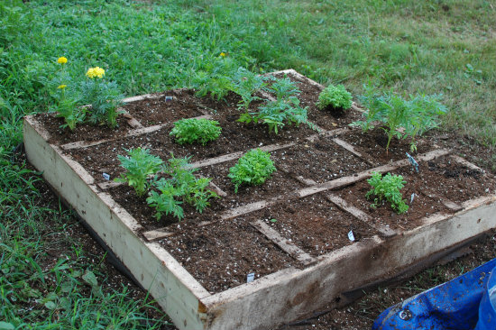 4x4-Square-Foot-Garden-Box-2012