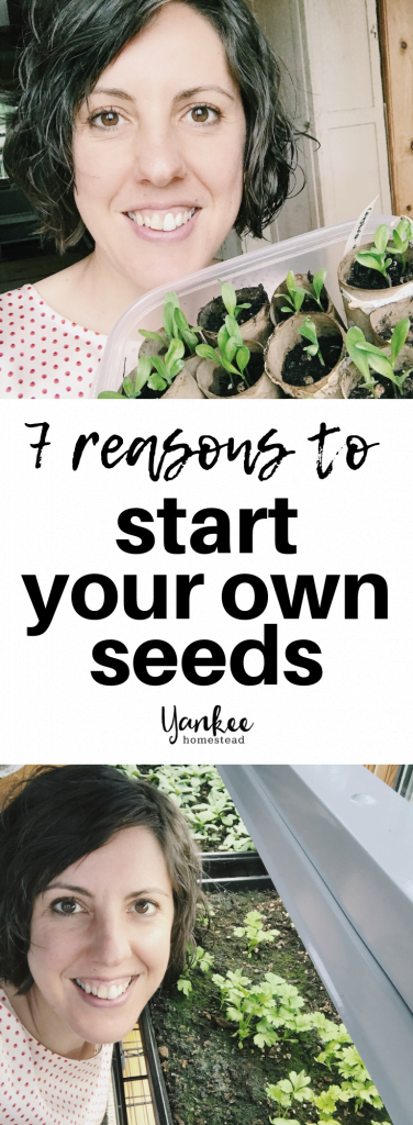 7 Reasons to Start Your Own Seeds Indoors | Yankee Homestead