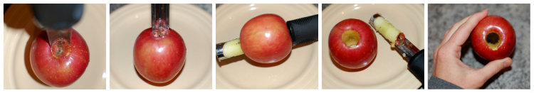 Apple Corer - Roots & Boots