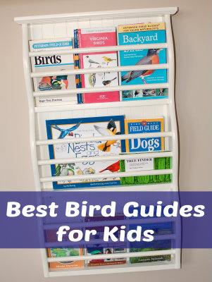 Best Bird Guides for Kids