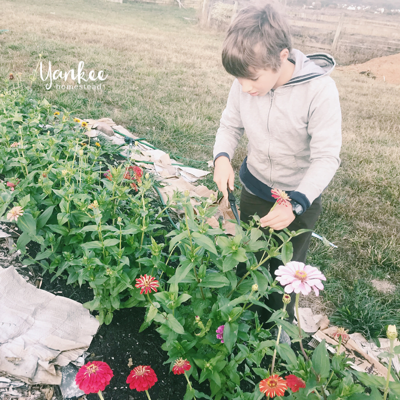 3 Steps to a Paperless Kitchen | Yankee Homestead