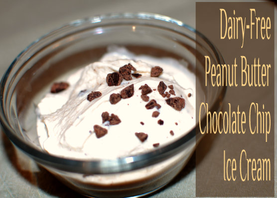 Dairy-Free Peanut Butter Chocolate Chip Ice Cream