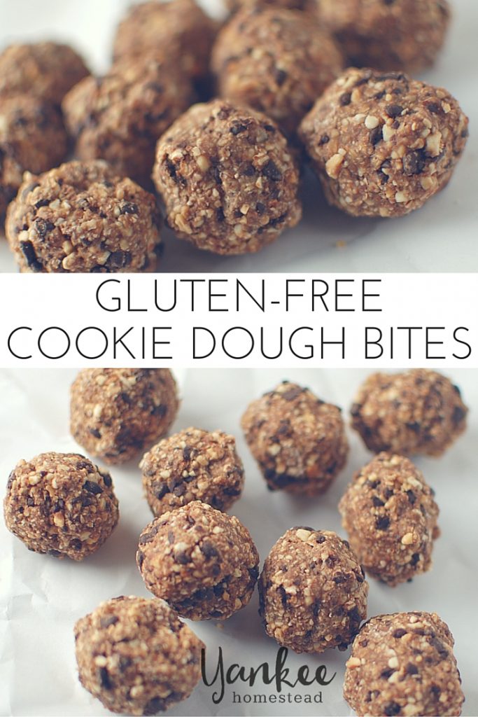 Gluten Free Cookie Dough Bites | Yankee Homestead