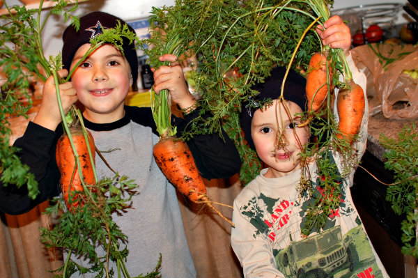 Giant Carrots