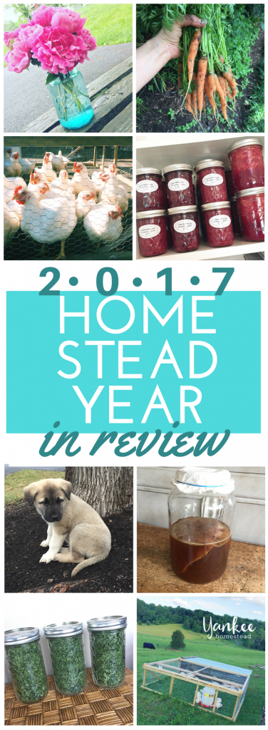 2017 Homestead Year in Review: a peek at our homesteading triumphs and defeats of 2017 | Yankee Homestead